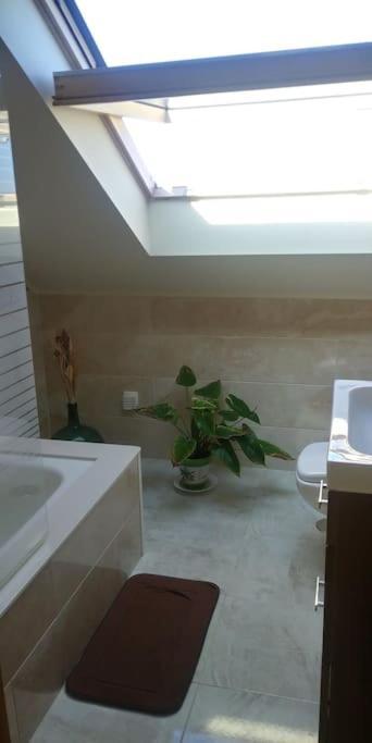 Casa Viqueira Villa ฟอซ ภายนอก รูปภาพ